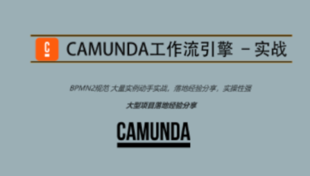 Camunda高级实战培训系列教程第一学习库-致力于各大收费VIP教程和网赚项目分享第一学习库