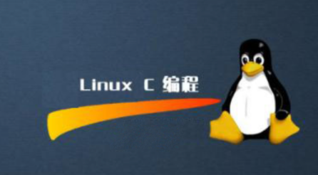 linux C C   —码农有道一点库资源-致力于各大收费VIP教程和网赚项目分享一点库资源