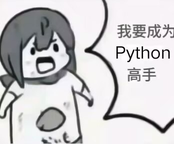 我要成为python高手!