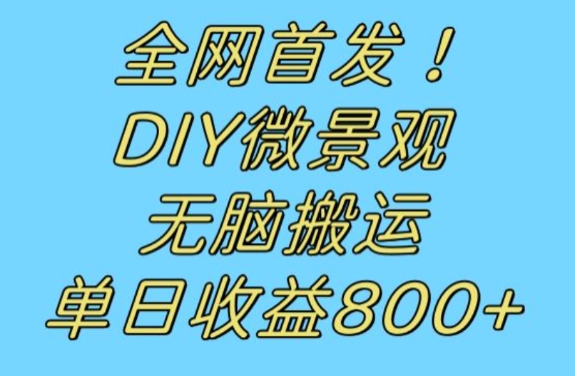 全网首发冷门赛道！DIY微景观，无脑搬运视频，日收益800 【揭秘】一点库资源-致力于各大收费VIP教程和网赚项目分享一点库资源