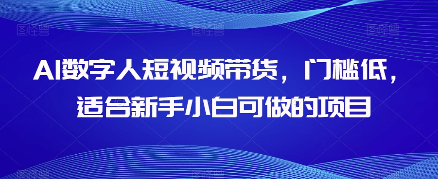 AI数字人短视频带货，门槛低，适合新手小白可做的项目第一学习库-致力于各大收费VIP教程和网赚项目分享第一学习库