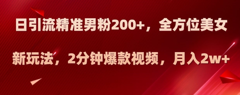 日引流精准男粉200 ，全方位美女新玩法，2分钟爆款视频，月入2w 【揭秘】一点库资源-致力于各大收费VIP教程和网赚项目分享一点库资源