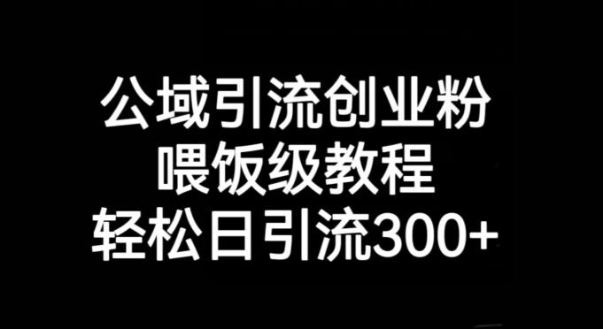 公域引流创业粉，喂饭级教程，轻松日引流300 【揭秘】第一学习库-致力于各大收费VIP教程和网赚项目分享第一学习库