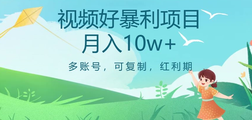 视频号暴利项目，多账号，可复制，红利期，月入10w 【揭秘】一点库资源-致力于各大收费VIP教程和网赚项目分享一点库资源