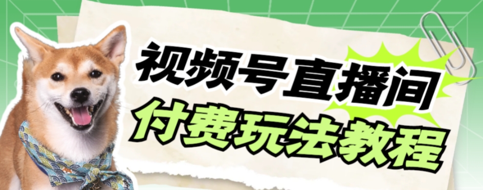 视频号美女付费无人直播，轻松日入500 【详细玩法教程】一点库资源-致力于各大收费VIP教程和网赚项目分享一点库资源