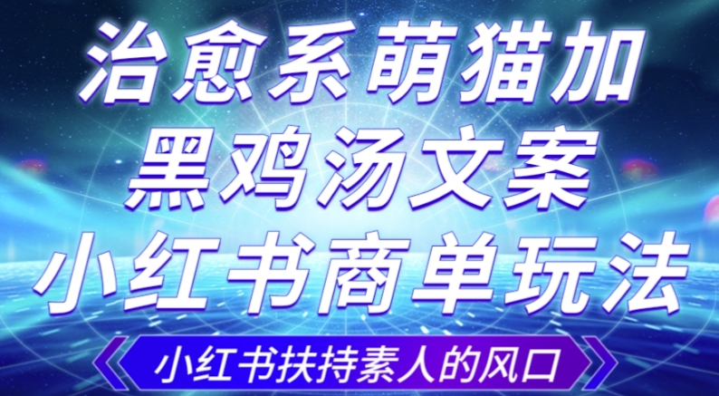 治愈系萌猫加 黑鸡汤文案，小红书商单玩法，3~10天涨到1000粉，一单200左右第一学习库-致力于各大收费VIP教程和网赚项目分享第一学习库