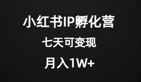 价值2000 的小红书IP孵化营项目，超级大蓝海，七天即可开始变现，稳定月入1W第一学习库-致力于各大收费VIP教程和网赚项目分享第一学习库