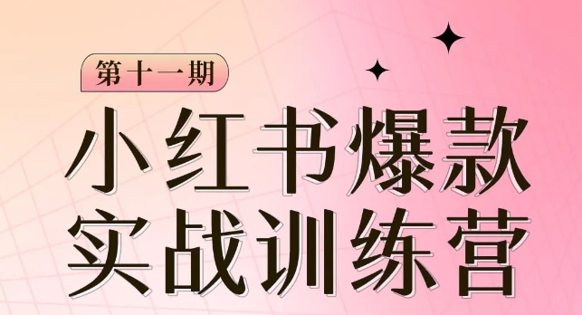 小红书博主爆款训练营第11期，手把手教你从0-1做小红书，从定位到起号到变现一点库资源-致力于各大收费VIP教程和网赚项目分享一点库资源