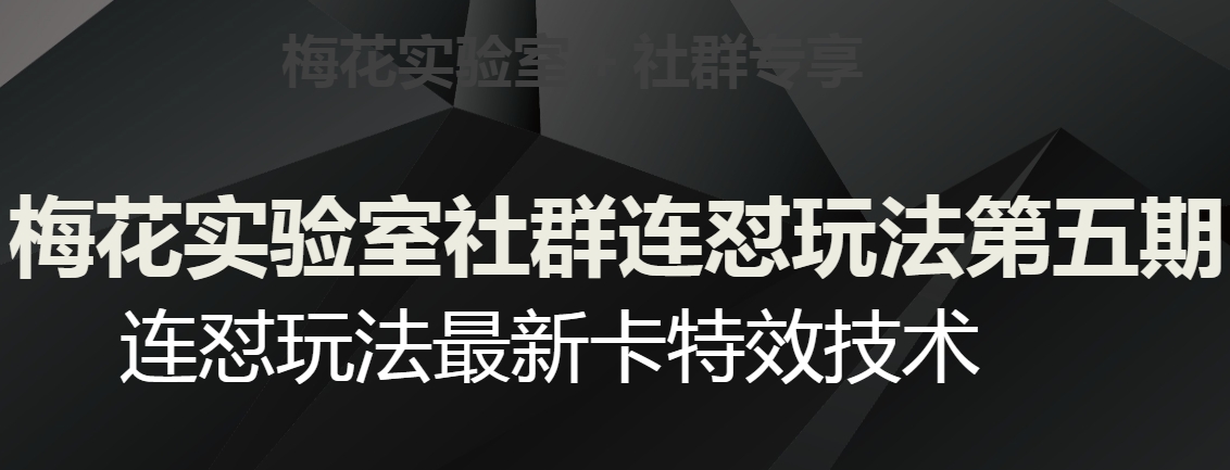 梅花实验室社群连怼玩法第五期，视频号连怼玩法最新卡特效技术第一学习库-致力于各大收费VIP教程和网赚项目分享第一学习库