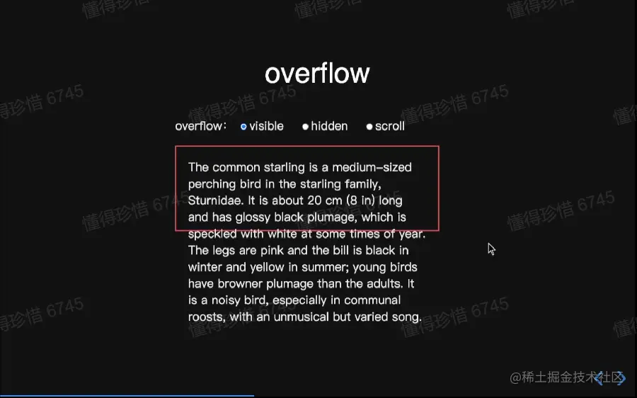 overflow属性.webp