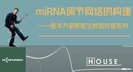 数据挖掘—miRNA调节网络的构建一点库资源-致力于各大收费VIP教程和网赚项目分享一点库资源