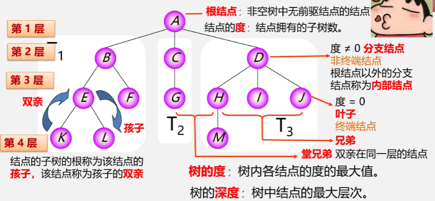 树的基本术语.png