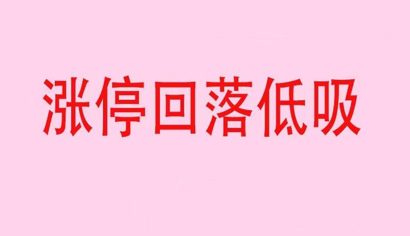 涨停回落低吸战法一点库资源-致力于各大收费VIP教程和网赚项目分享一点库资源