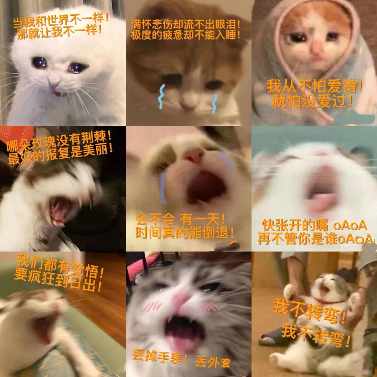 我不转弯!!!