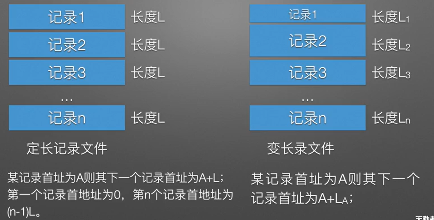 image-20231124061401905