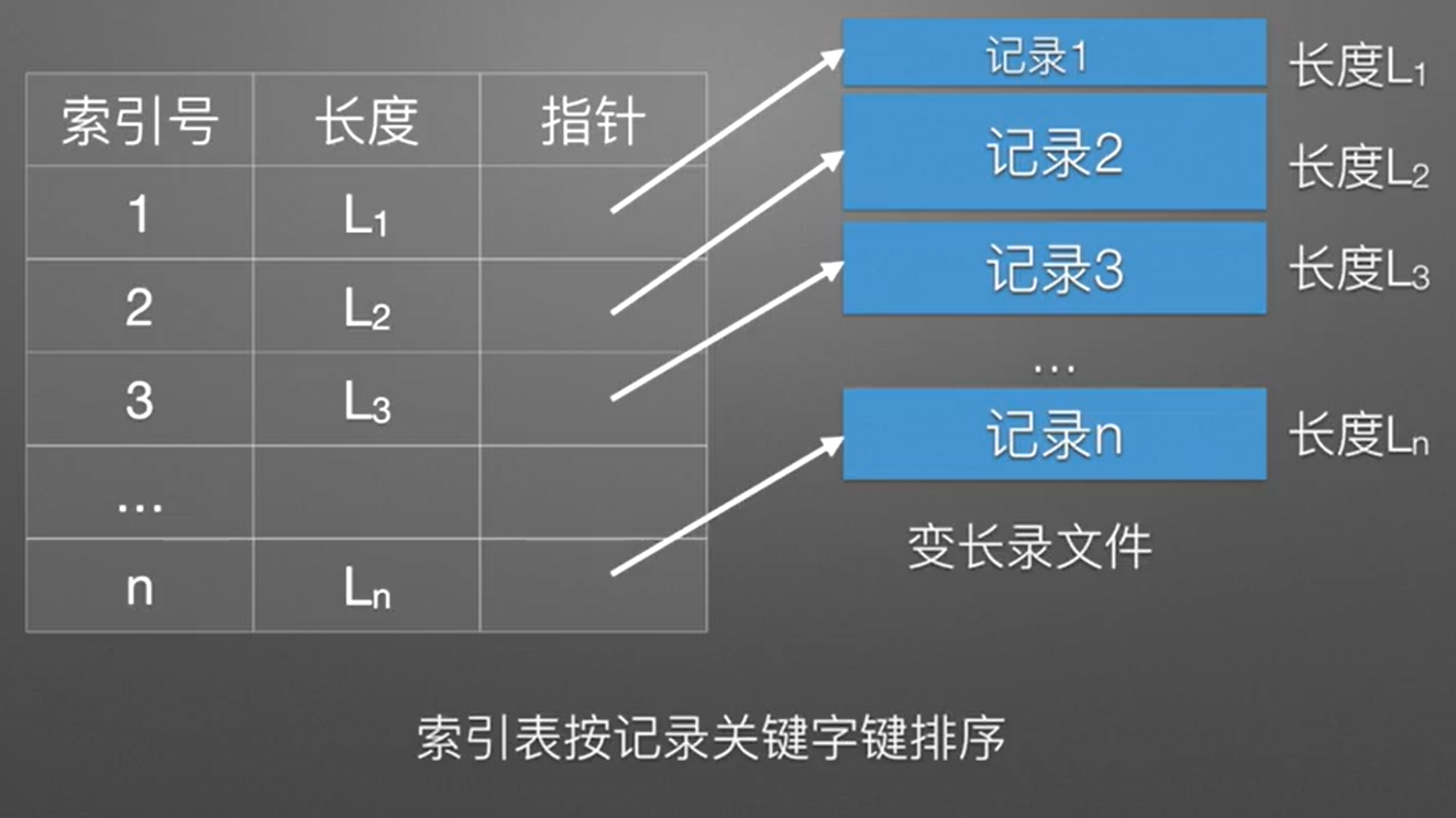 image-20231124061713029