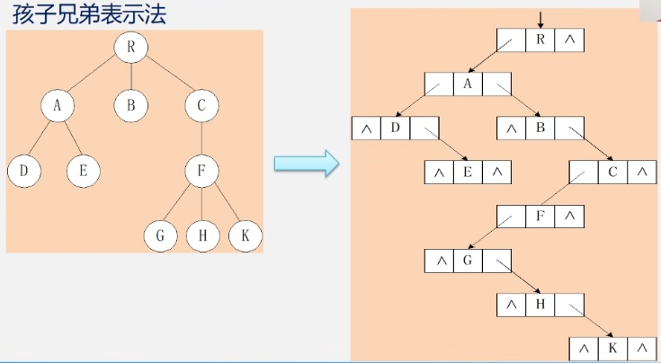 孩子兄弟表示法.png