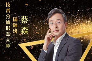 【蔡森】2023年森财技术-森财技术基础 进阶 宏观 经典技术分析第一学习库-致力于各大收费VIP教程和网赚项目分享第一学习库