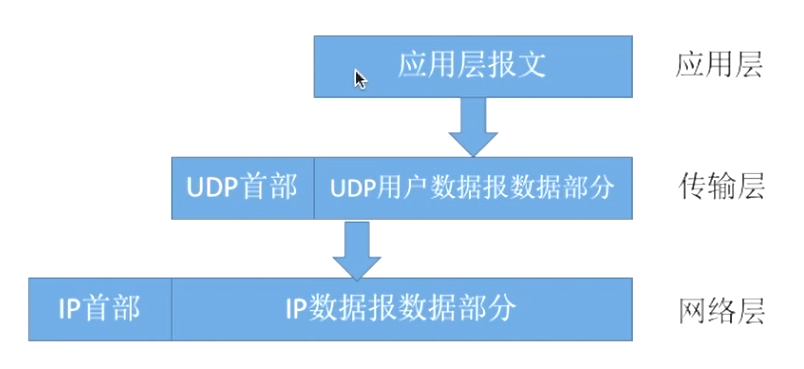 image-20231203075704224