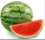 image-20231207185150282