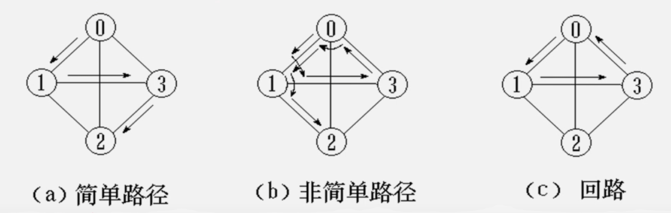 简单路径_回路.png