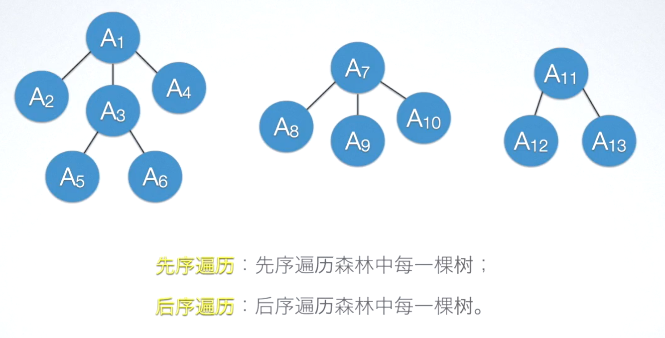 image-20231211135255787