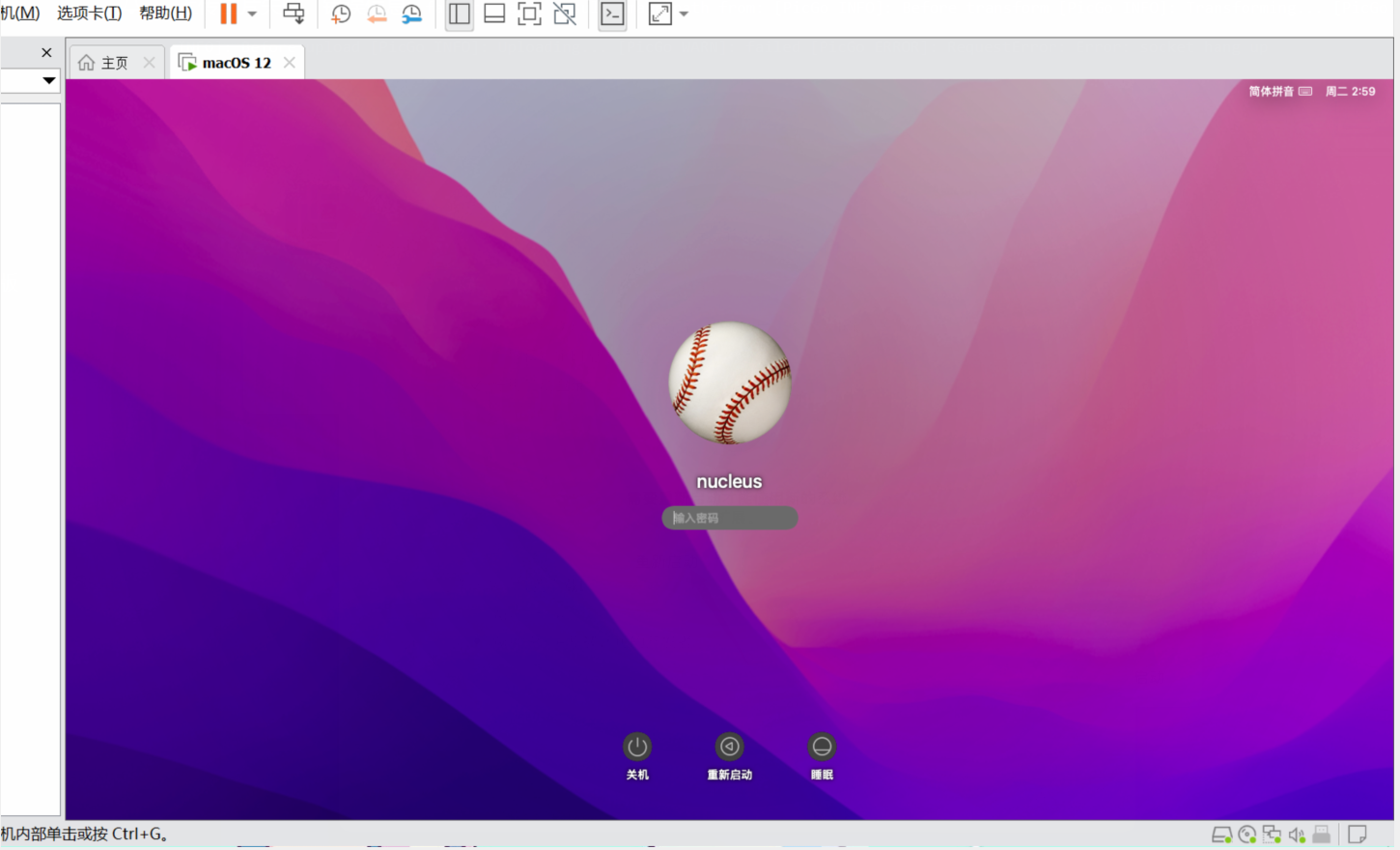 image-20231212225423886