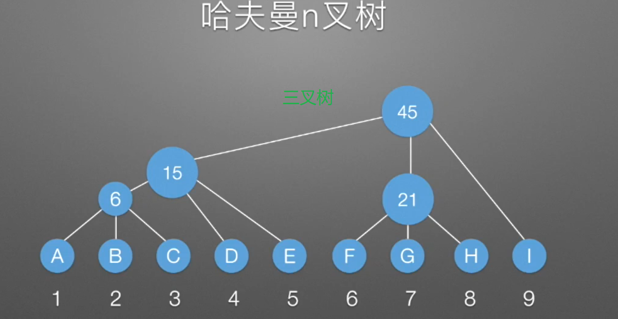 image-20231212123302234