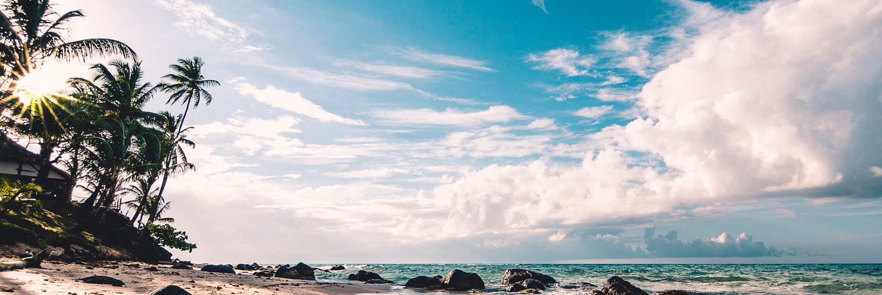 image-20231227235639447