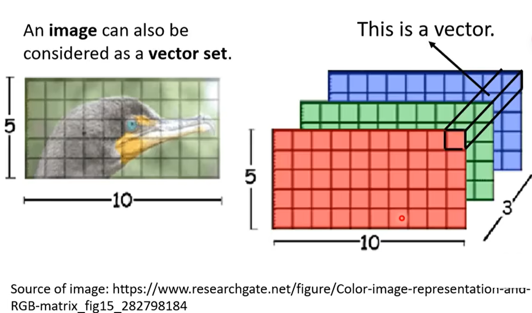 image-20231229120820731