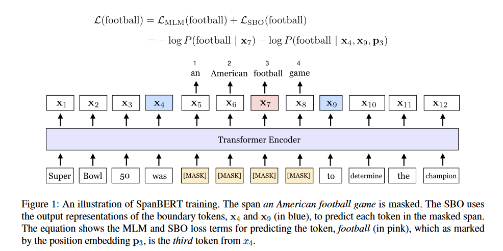 The framework of the SpanBERT