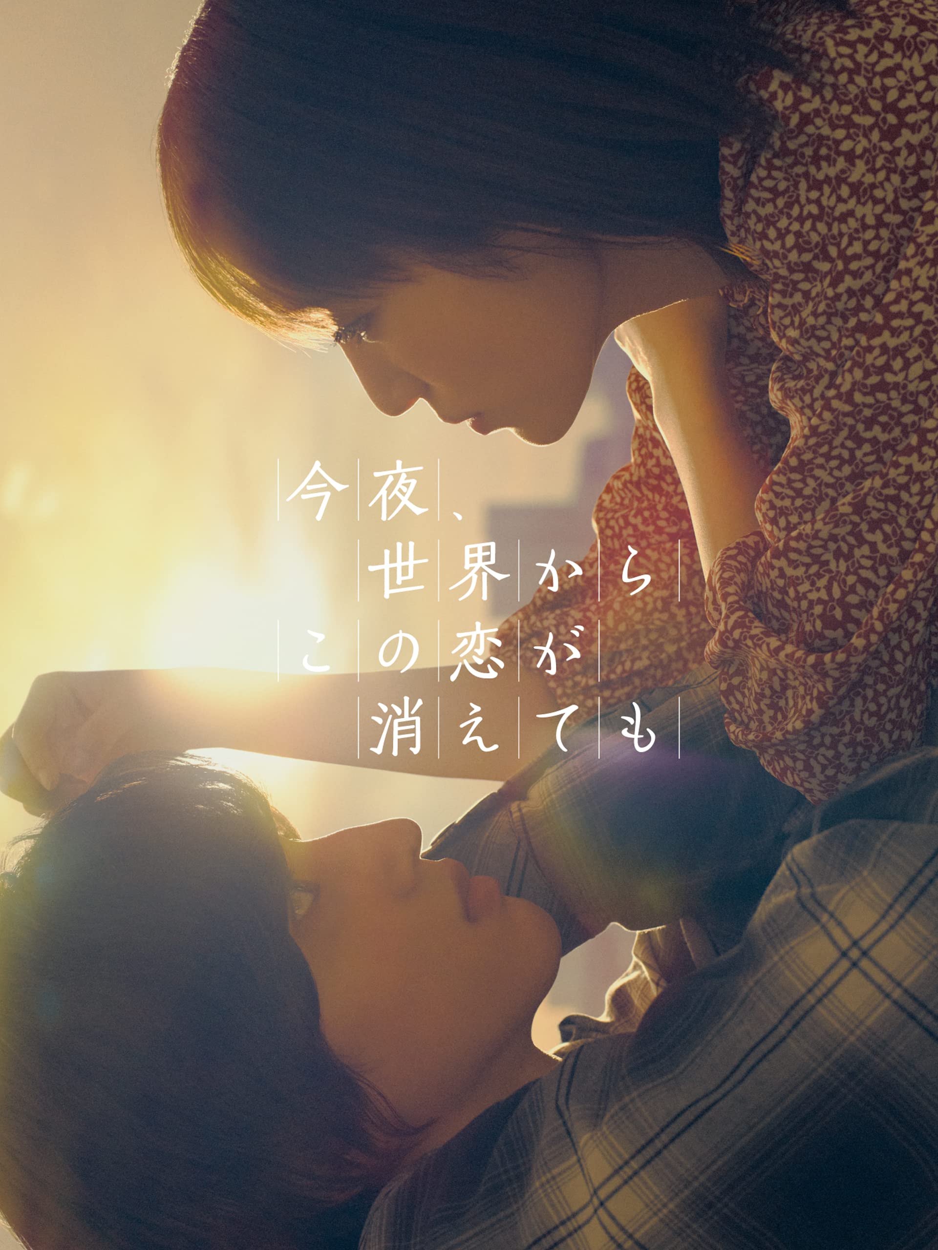 HDTS、DVDRip、BDRip、HDTV、およびその他のビデオ形式
