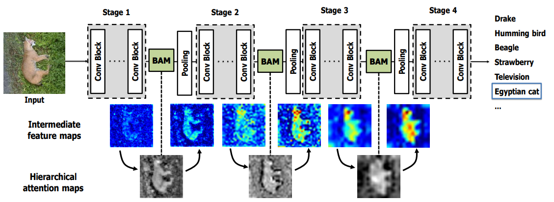 image-20240123200825093