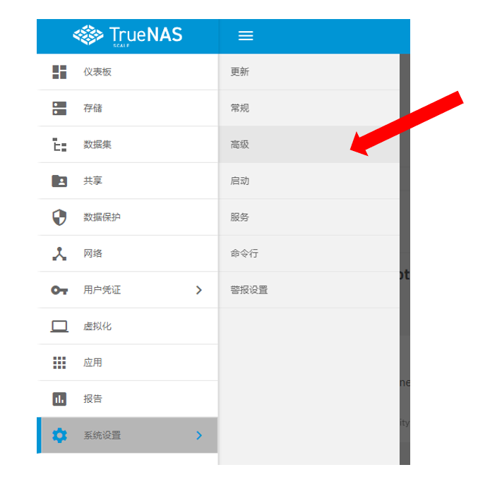 truenas_zerotier_sys_panel.png