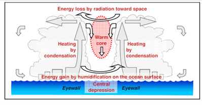 热带气旋的热力循环.png