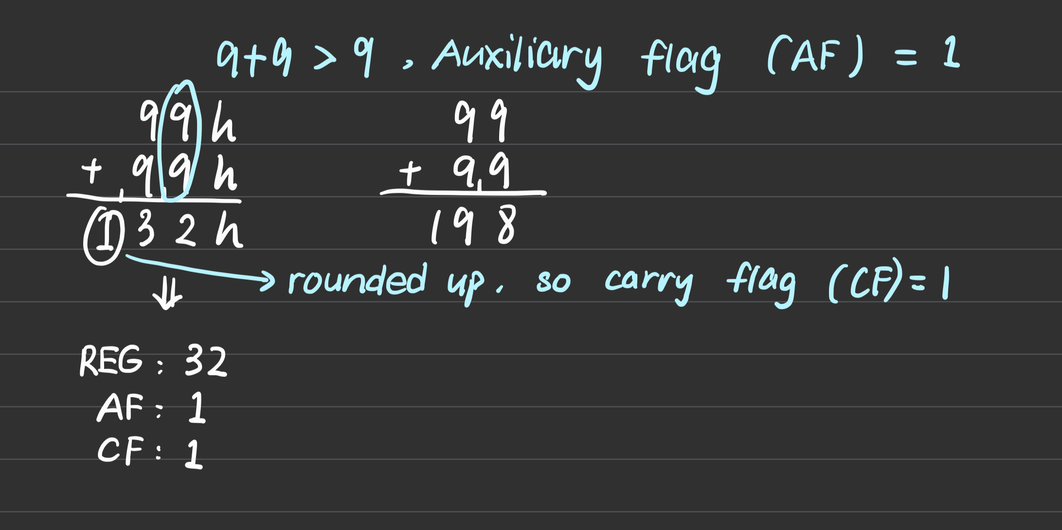 IMG_2031.PNG
