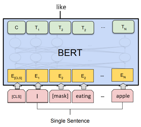 bert_MLM