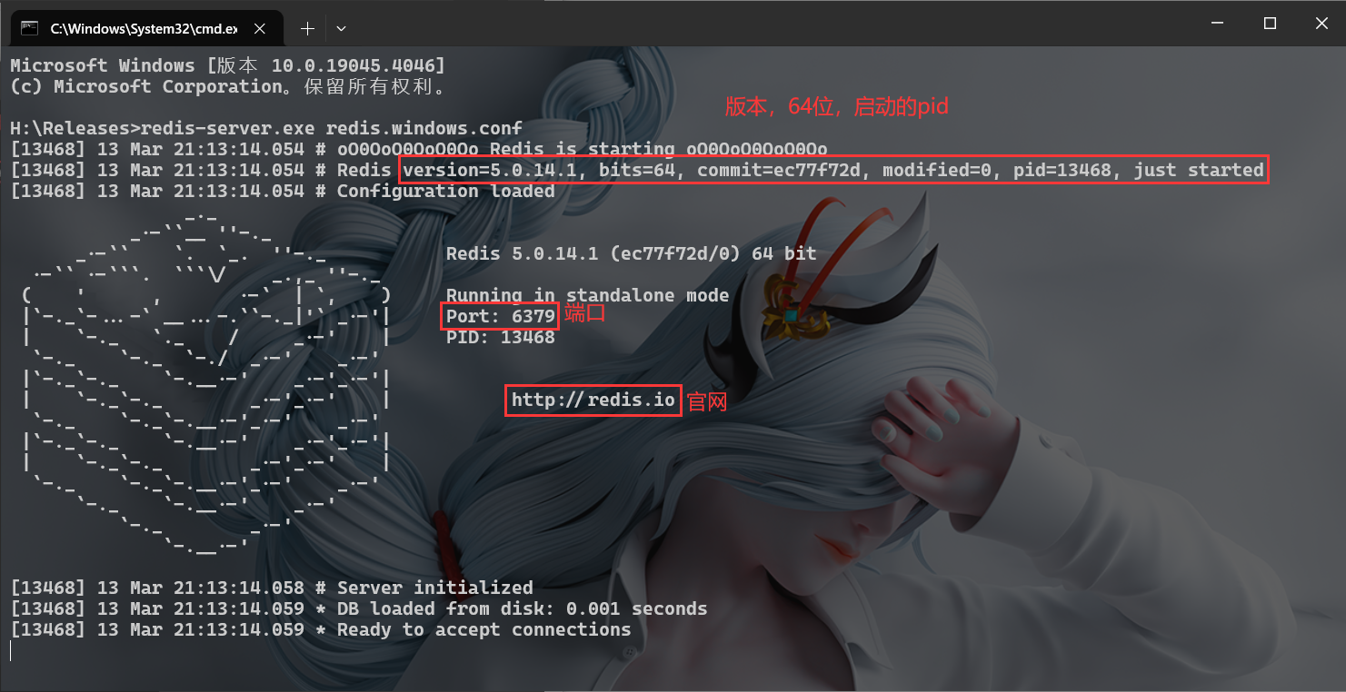 image-20240313211506800