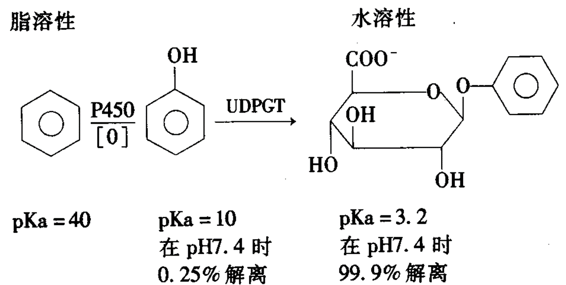 di9k5