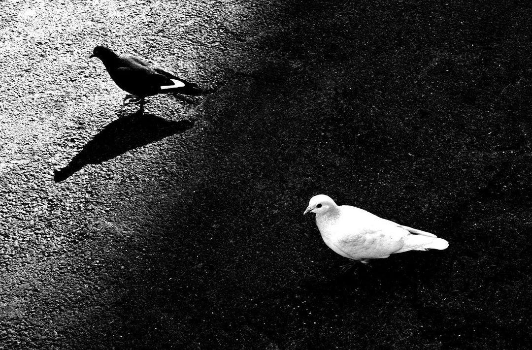 云上数据库与本地的连接部署(基于EIP)