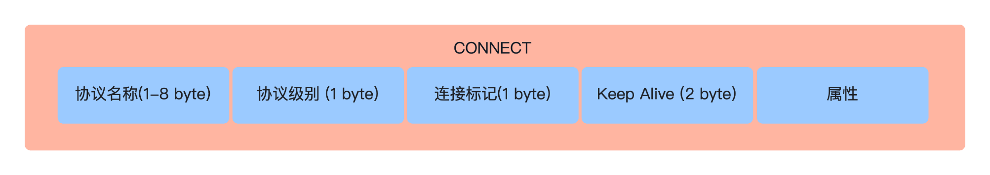 connect 可变报文