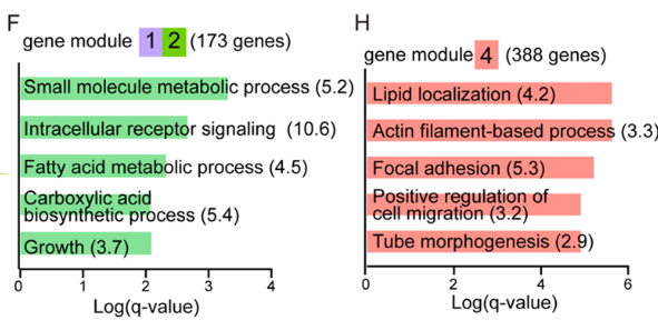 GO富集分析结果2.png|400