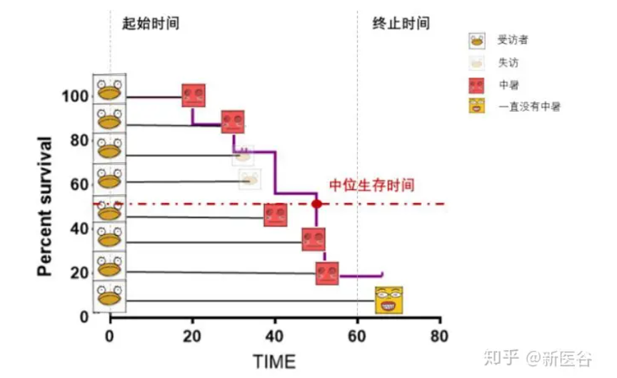 生存分析图示.png|400