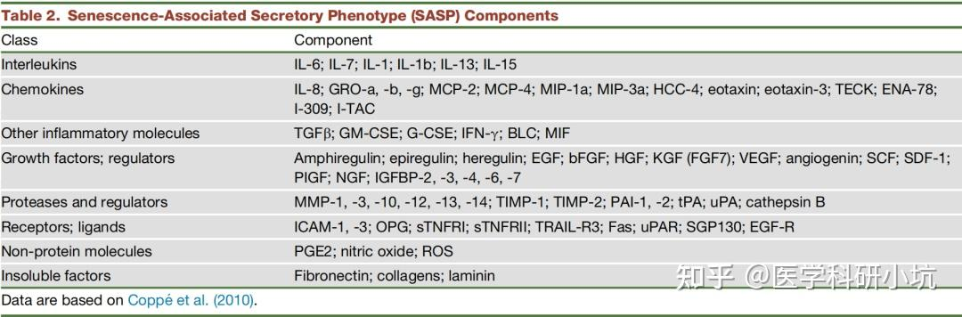 SASP components.png|400