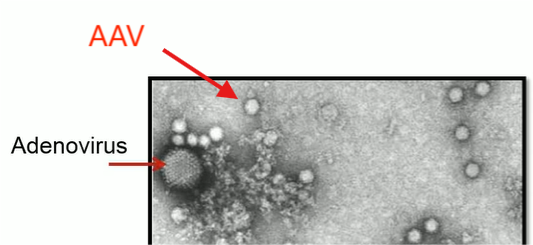 2024-04-23 203004.png|400