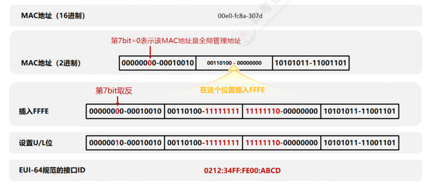 image-20240502194225259