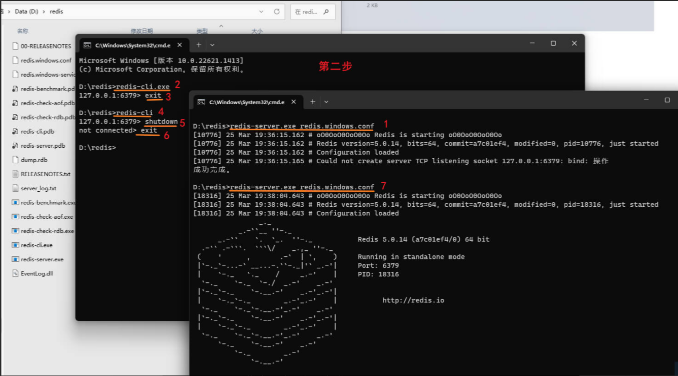 image-20240504154242284