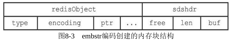 embstr编码创建的内存块结构