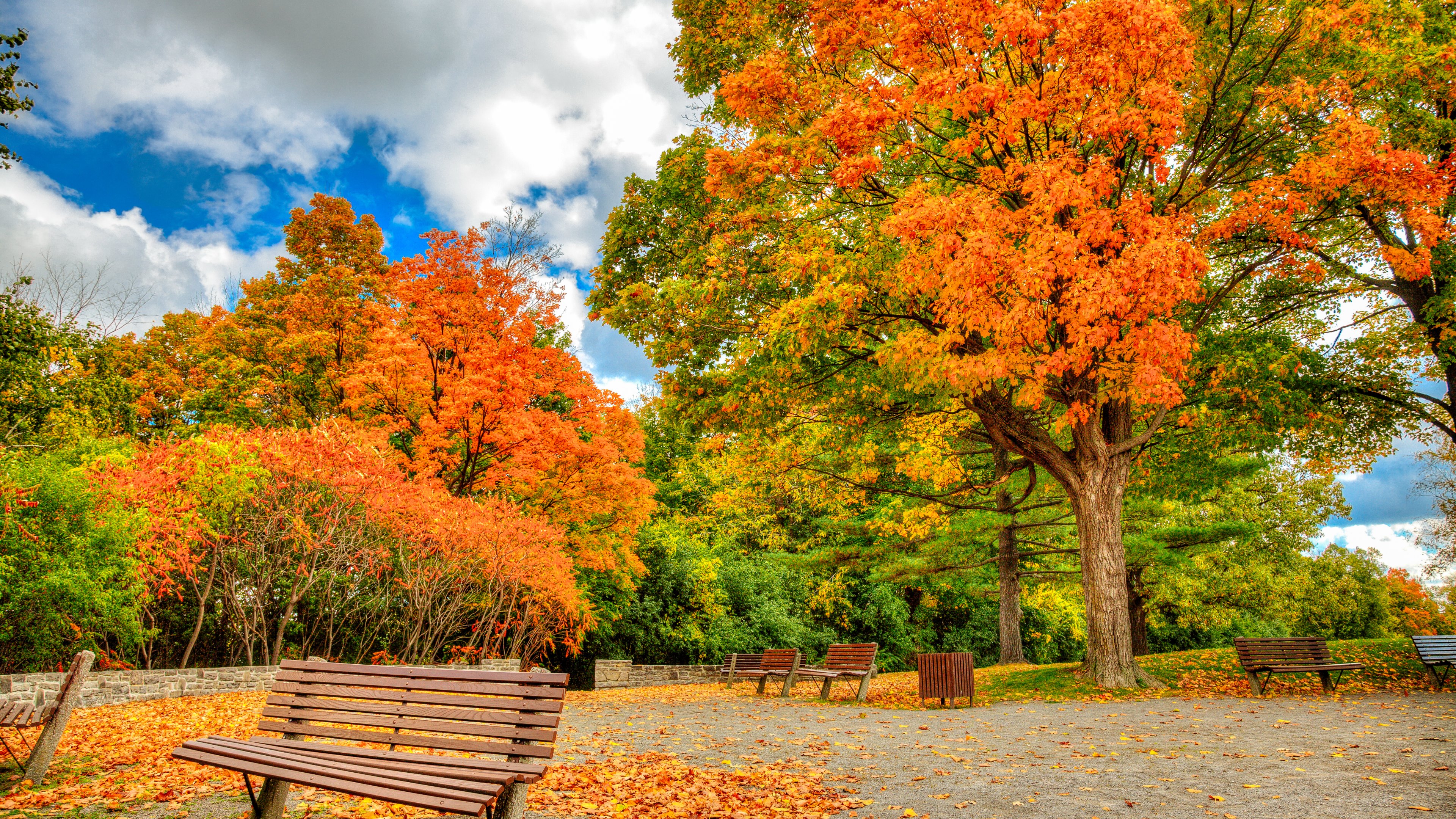 Autumn_in_Ottawa_uhd