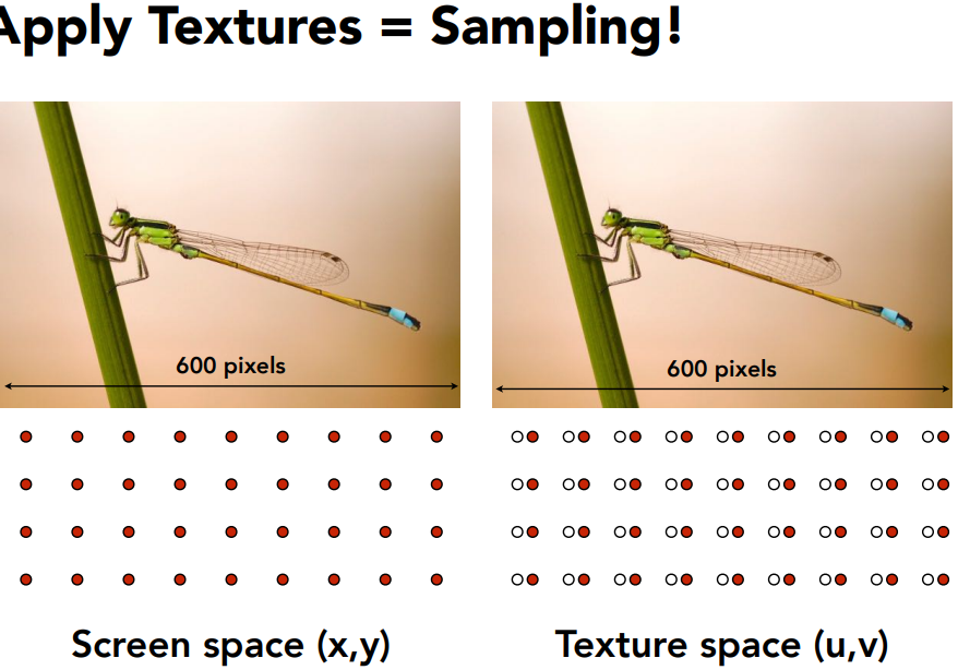 image-20240525134129545